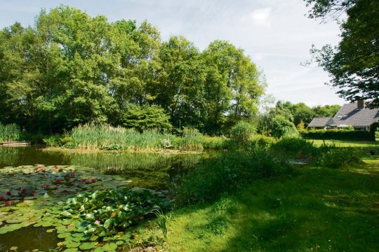 vijver - Jeugdzorg Tuurkesweg - BEELEN CS architecten Eindhoven / Thalliagroep Weert